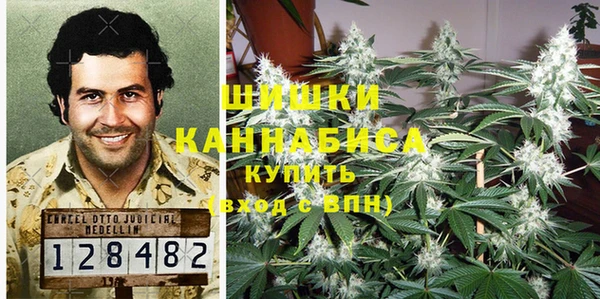 spice Арсеньев