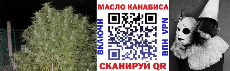 продажа наркотиков Петропавловск-Камчатский Дистиллят ТГК THC oil